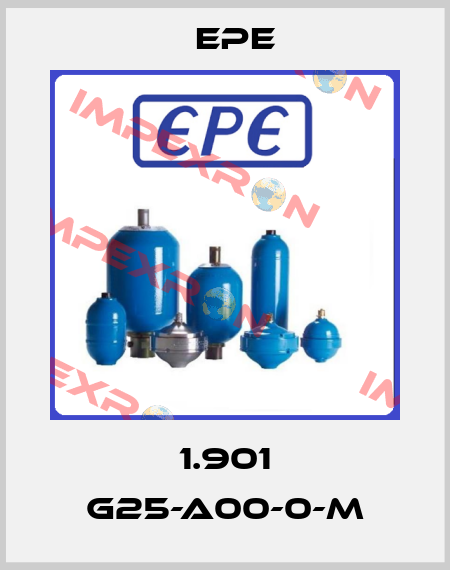 1.901 G25-A00-0-M Epe