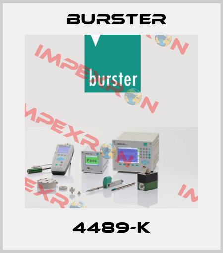 4489-K Burster
