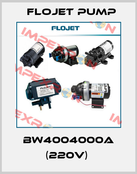 BW4004000A (220V)  Flojet Pump