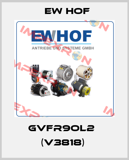 GVFR9OL2   (V3818)  Ew Hof