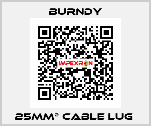 25mm² cable lug  Burndy
