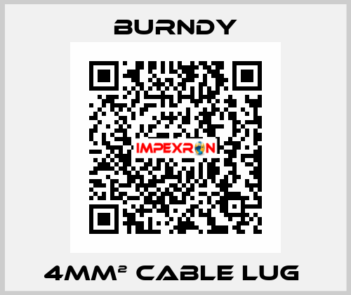 4mm² cable lug  Burndy