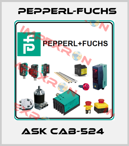 ASK CAB-524  Pepperl-Fuchs
