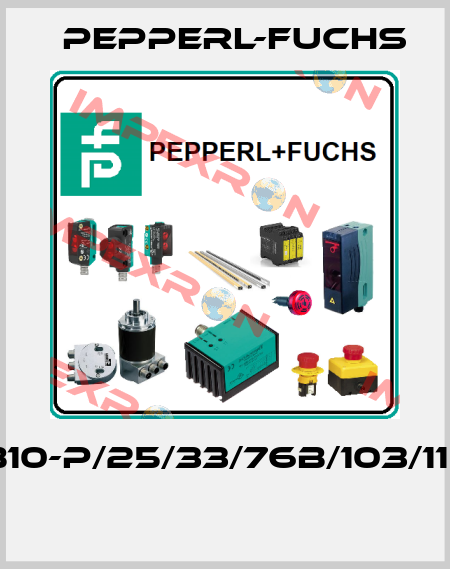 BB10-P/25/33/76b/103/115e  Pepperl-Fuchs