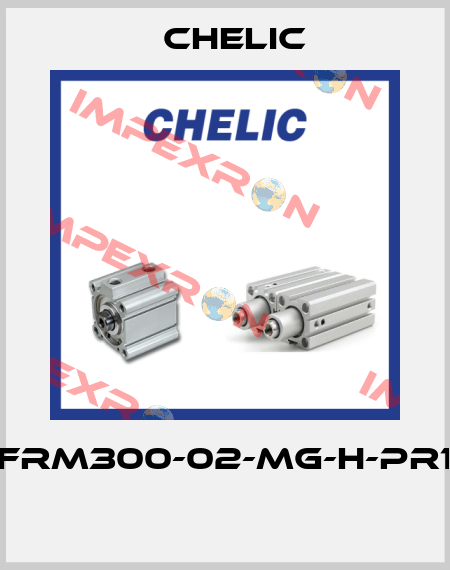 NFRM300-02-MG-H-PR10  Chelic