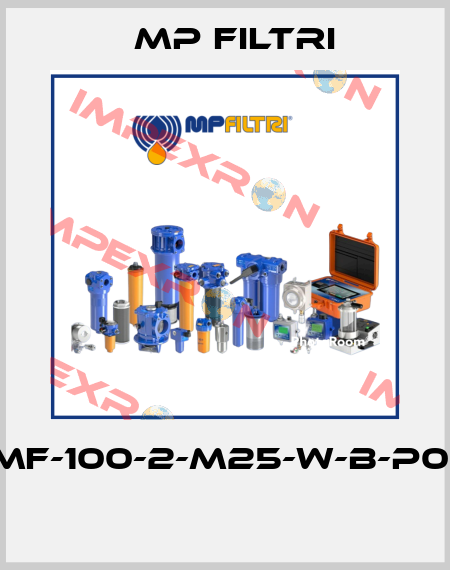 MF-100-2-M25-W-B-P01  MP Filtri