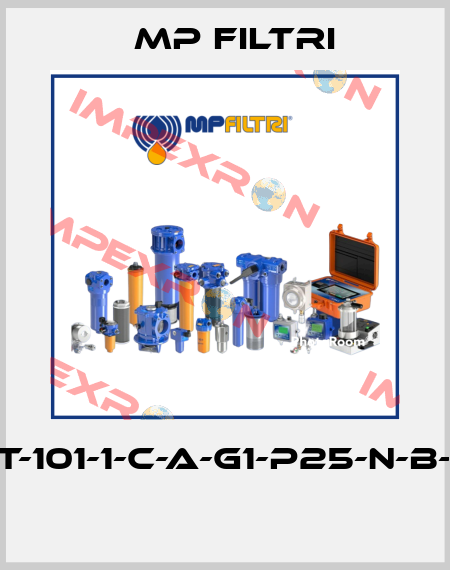MPT-101-1-C-A-G1-P25-N-B-P01  MP Filtri