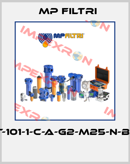 MPT-101-1-C-A-G2-M25-N-B-P01  MP Filtri