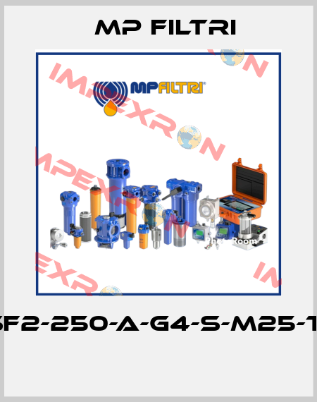 SF2-250-A-G4-S-M25-T1  MP Filtri