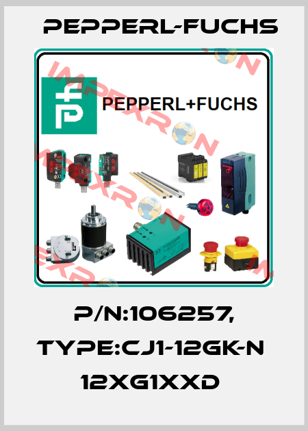 P/N:106257, Type:CJ1-12GK-N            12xG1xxD  Pepperl-Fuchs