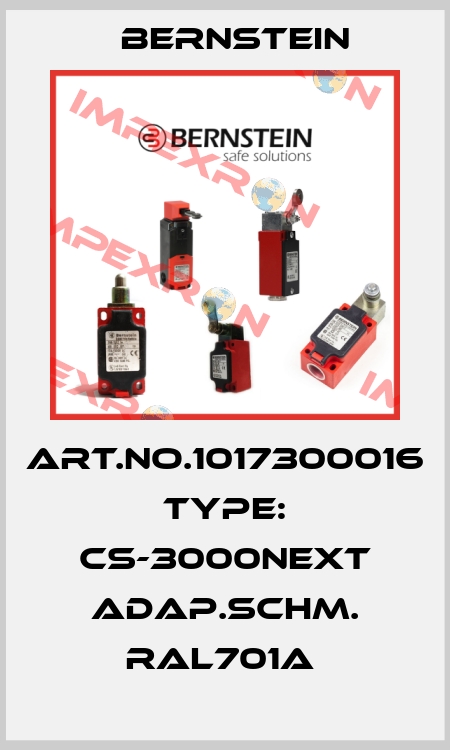 Art.No.1017300016 Type: CS-3000NEXT ADAP.SCHM. RAL701A  Bernstein