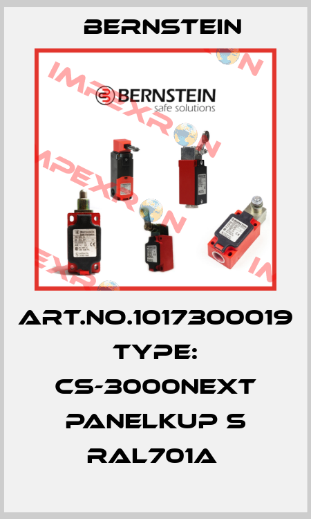 Art.No.1017300019 Type: CS-3000NEXT PANELKUP S RAL701A  Bernstein