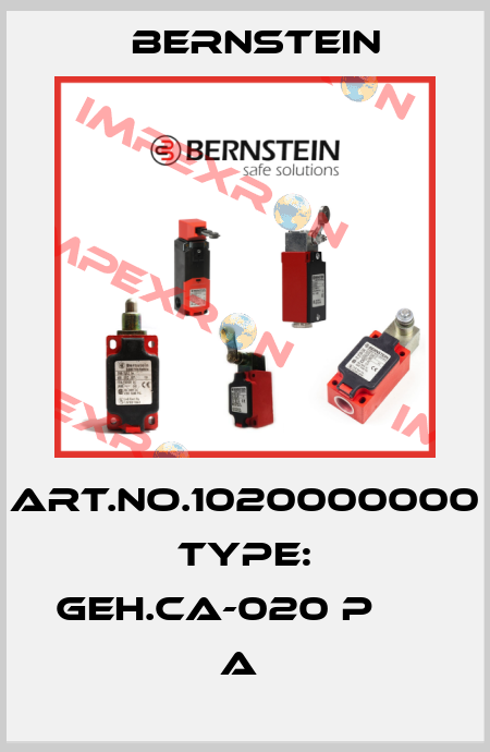 Art.No.1020000000 Type: GEH.CA-020 P                 A  Bernstein