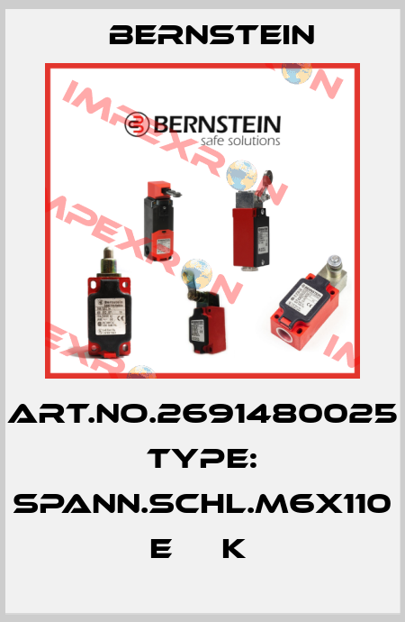 Art.No.2691480025 Type: SPANN.SCHL.M6X110      E     K  Bernstein