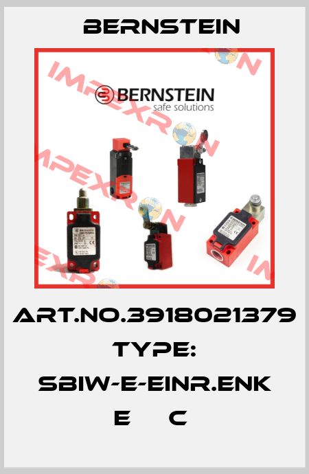 Art.No.3918021379 Type: SBIW-E-EINR.ENK        E     C  Bernstein