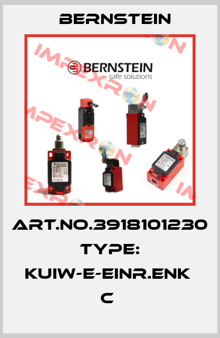 Art.No.3918101230 Type: KUIW-E-EINR.ENK              C  Bernstein