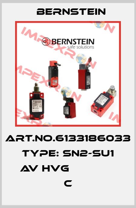Art.No.6133186033 Type: SN2-SU1 AV HVG               C Bernstein