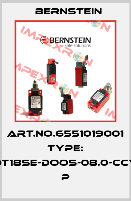 Art.No.6551019001 Type: OT18SE-DOOS-08.0-CCV         P Bernstein