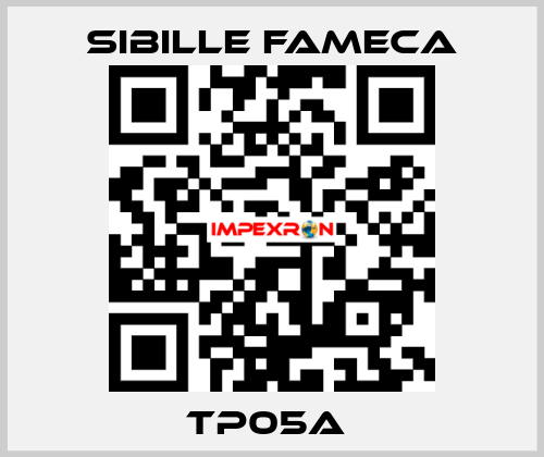 TP05A  Sibille Fameca