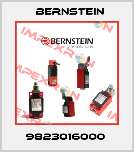 9823016000  Bernstein