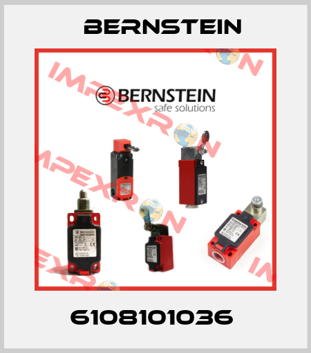 6108101036  Bernstein