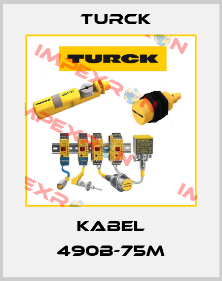 KABEL 490B-75M Turck