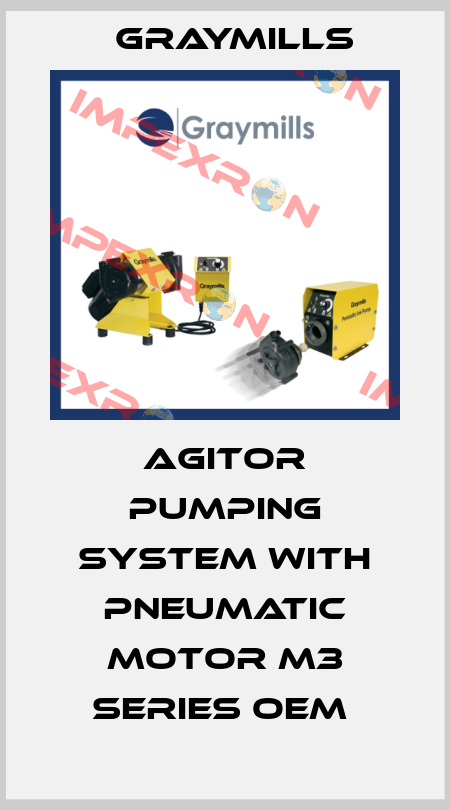 agitor pumping system with pneumatic motor M3 series OEM  Graymills