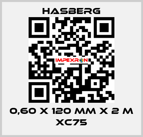 0,60 X 120 MM X 2 M XC75  Hasberg