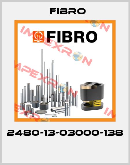 2480-13-03000-138  Fibro