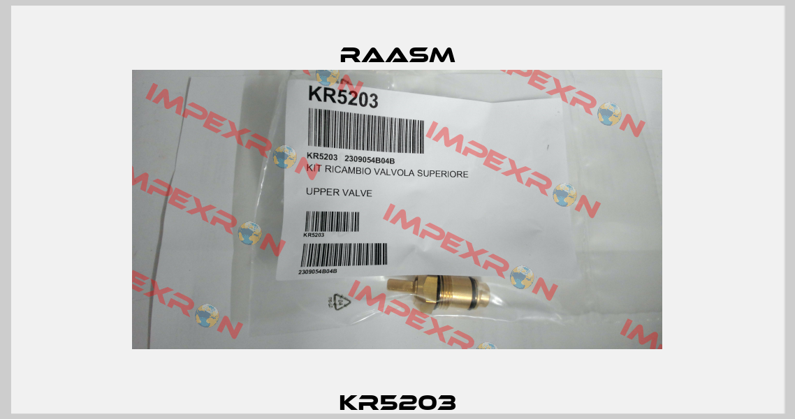 KR5203 Raasm