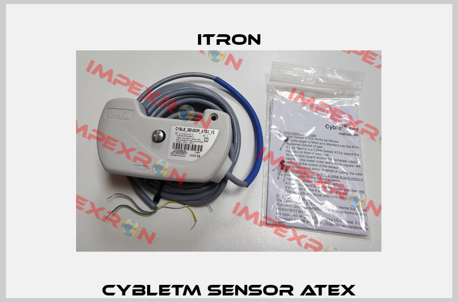 CybleTM Sensor ATEX Itron