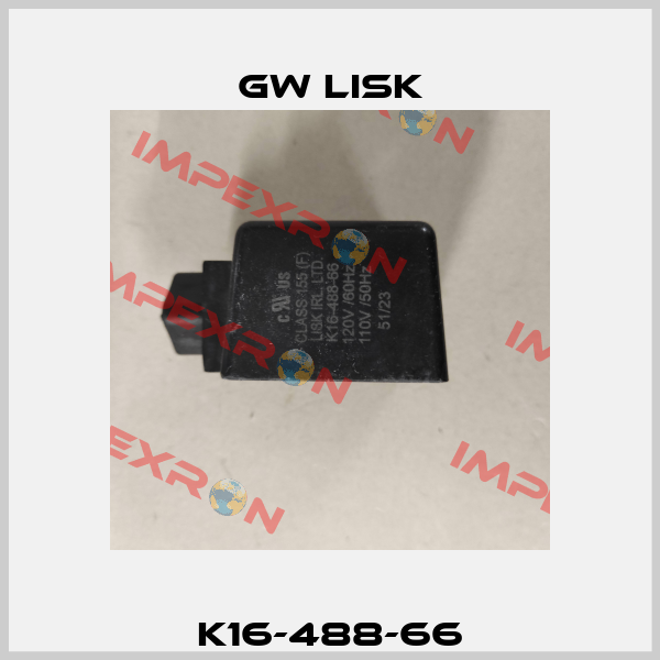K16-488-66 Gw Lisk