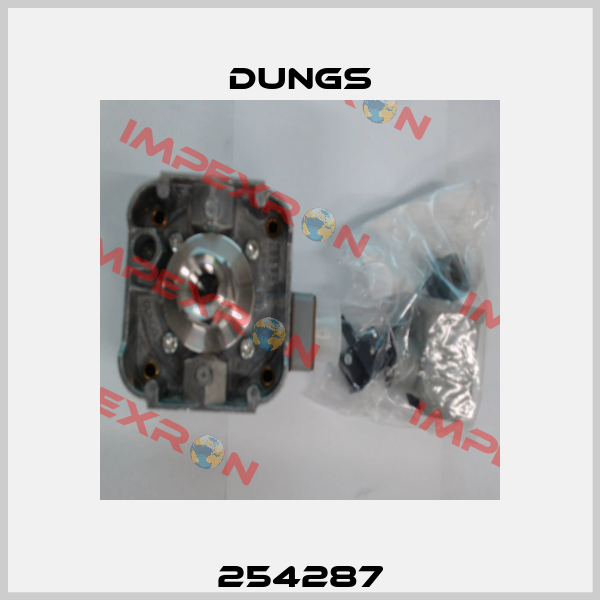 254287 Dungs
