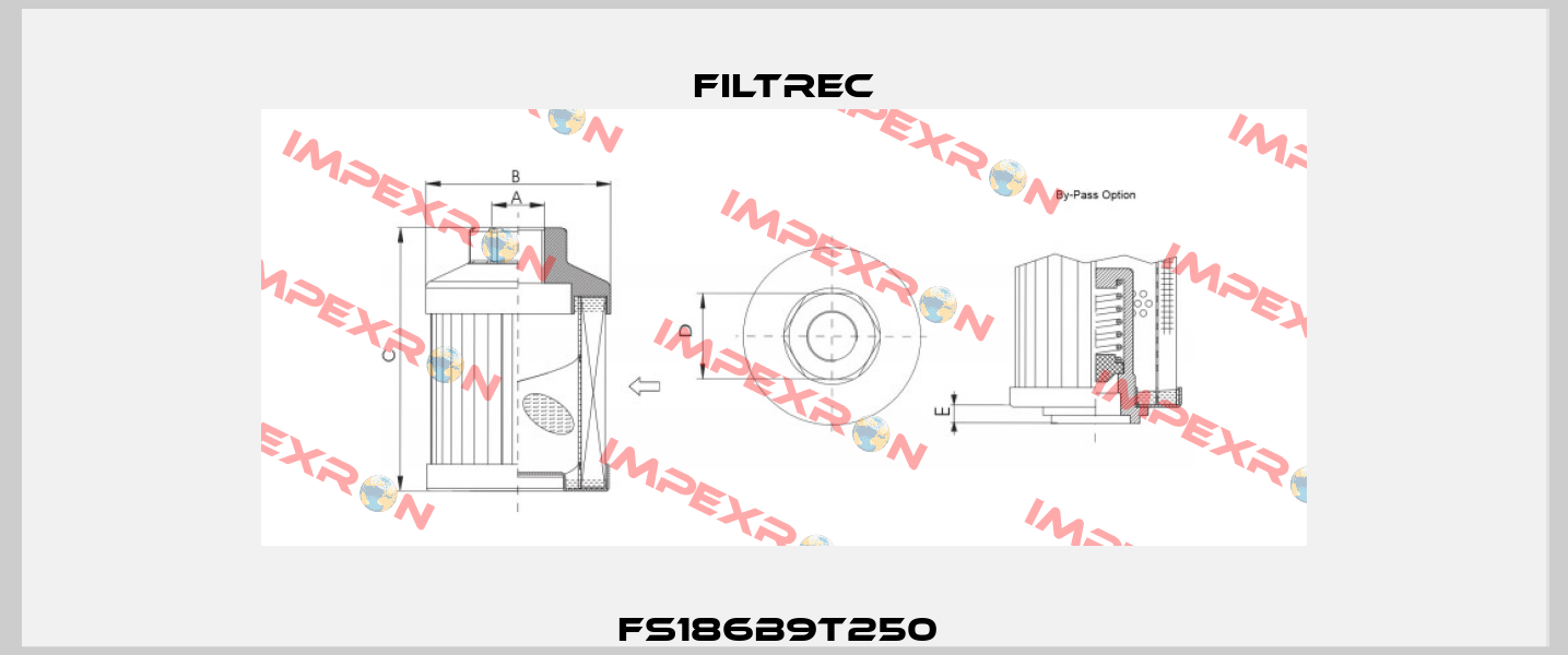 FS186B9T250  Filtrec