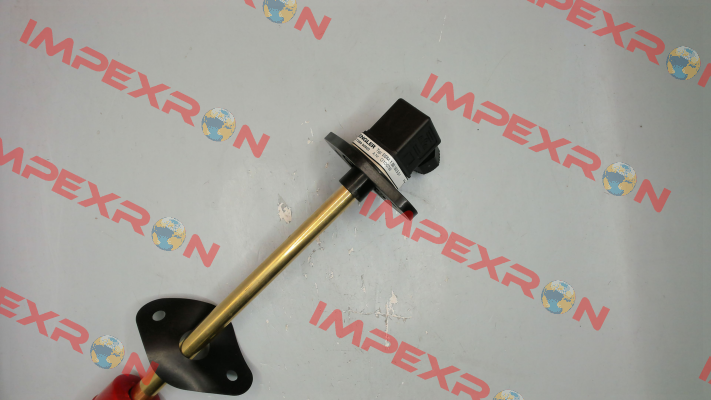 SSM.1.B5.180.5.S1 Engler