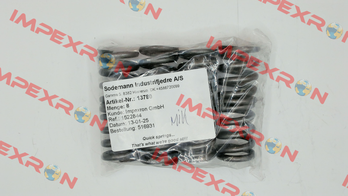 13780 Sodemann