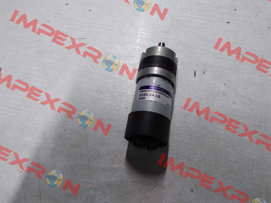 E192.24.13 Micro Motors