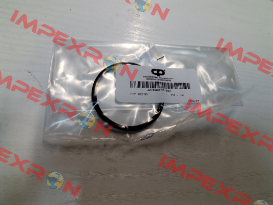 A0ORW0153/00O POMPE CUCCHI SRL