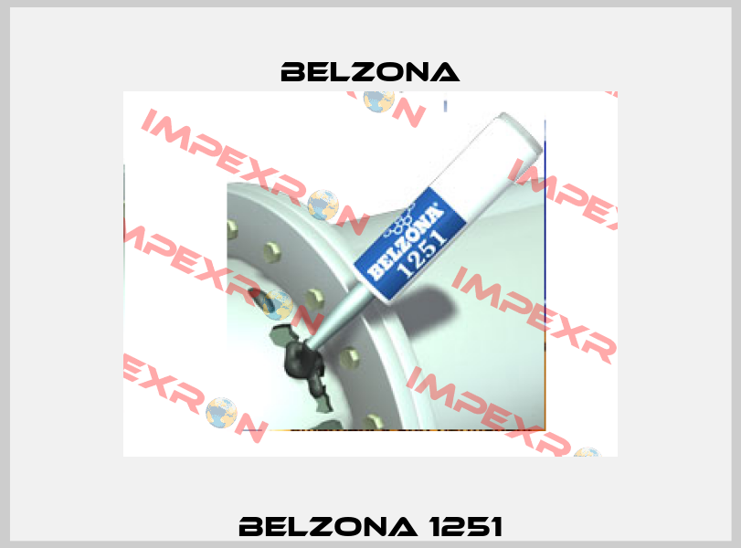 Belzona 1251 Belzona