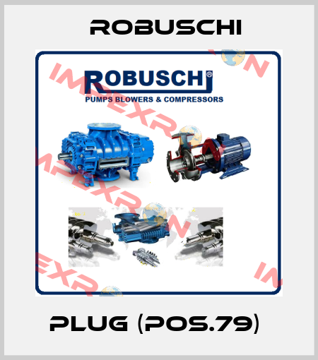 Plug (Pos.79)  Robuschi
