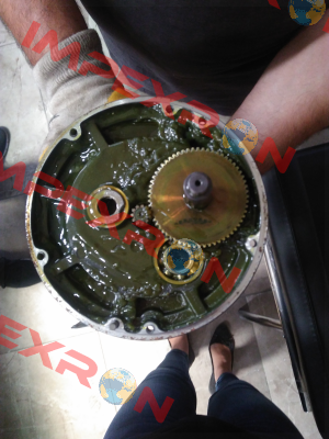 RNS 3H02S165-Y Sesame Motor