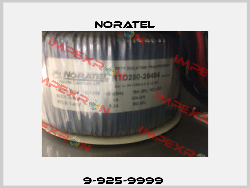9-925-9999  Noratel