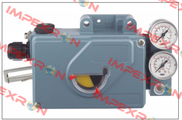 SRI990-BIMT7EAA-Y Foxboro (by Schneider Electric)