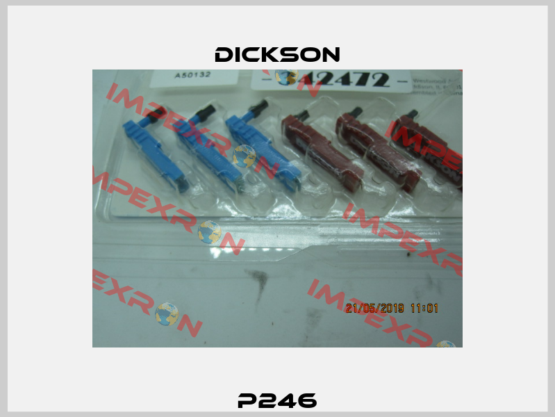 P246 Dickson