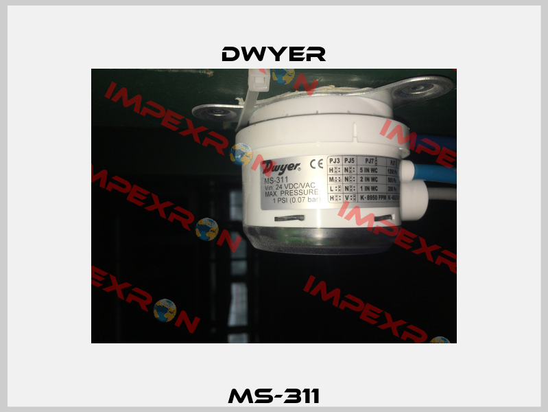 MS-311 Dwyer