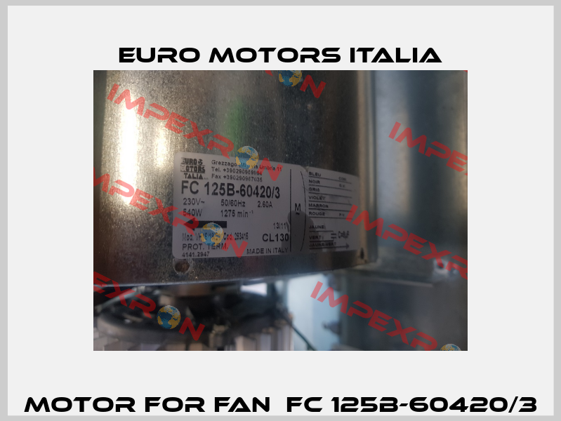 motor for fan  FC 125B-60420/3 Euro Motors Italia