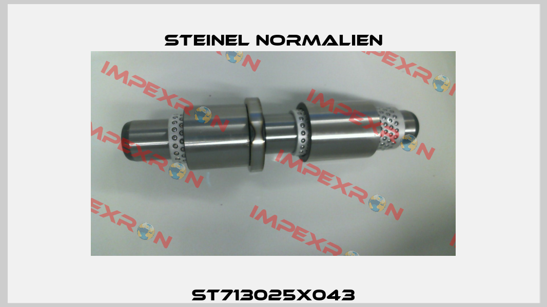 ST713025X043 Steinel Normalien