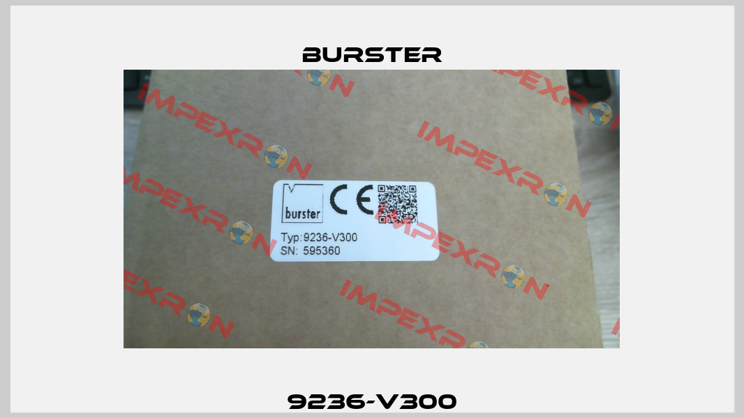 9236-V300 Burster
