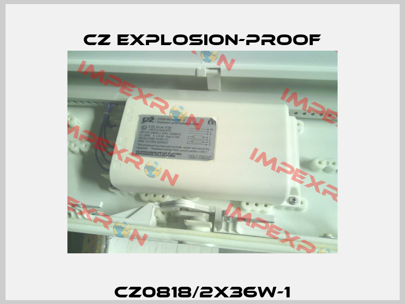 CZ0818/2X36W-1 CZ Explosion-proof