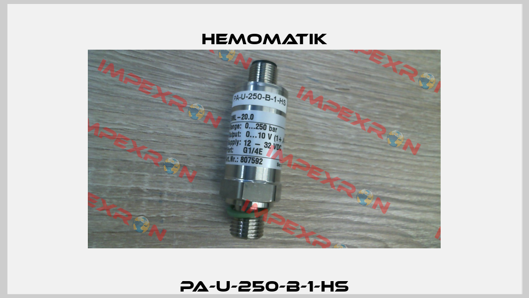 PA-U-250-B-1-HS Hemomatik